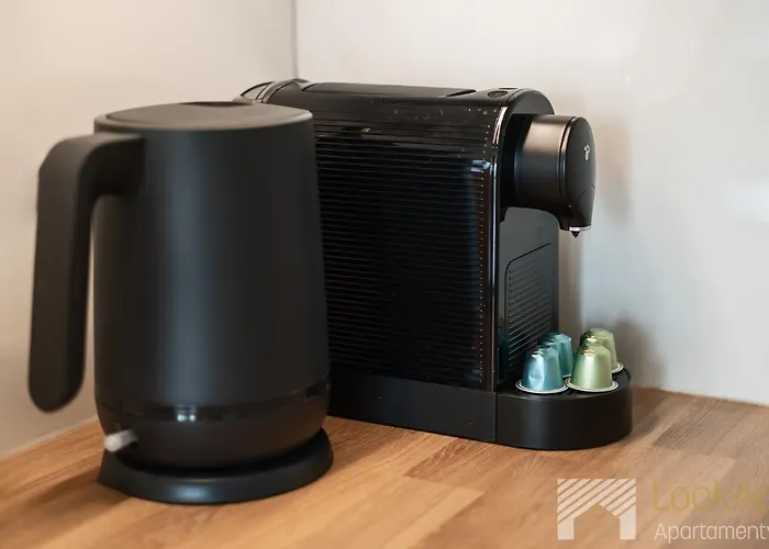 Slovianka Comfort By Lookap - Sauna Oraz Darmowy Parking W Garazu ! 아파트 우치