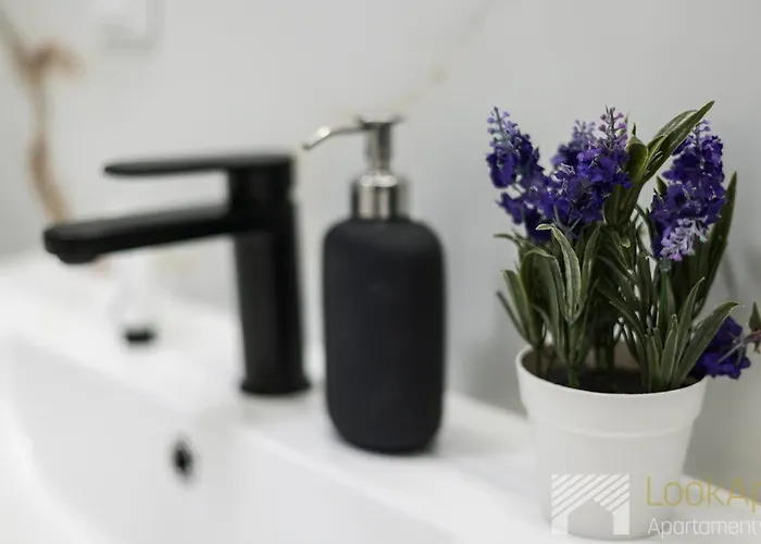 Slovianka Comfort By Lookap - Sauna Oraz Darmowy Parking W Garazu ! * 우치